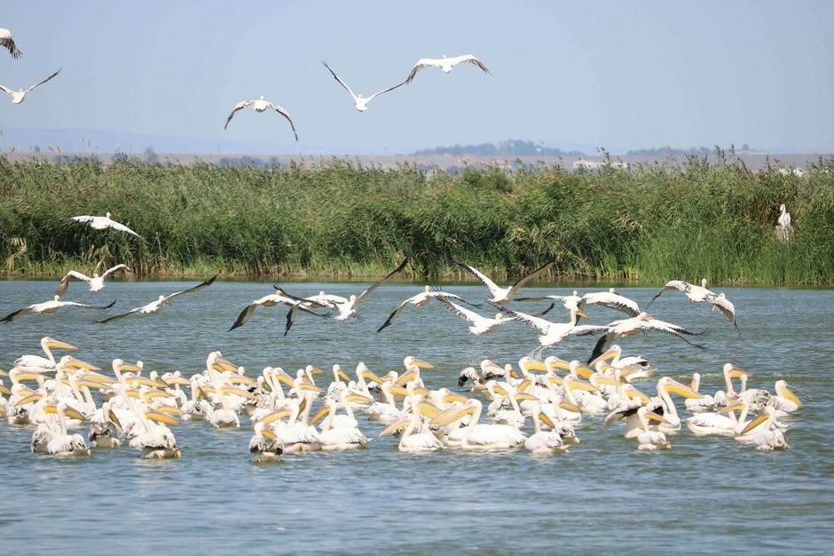vaya ecopark burgasz