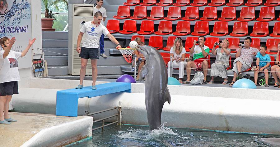 Várna delfinárium